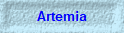 Artemia