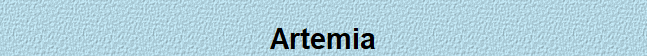 Artemia