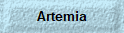 Artemia