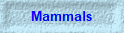 Mammals