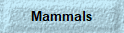 Mammals