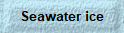 Seawater ice