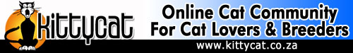Online Cat Community and Information Resource for Cat Lovers Online Cat Community and Information Resource for Cat Lovers