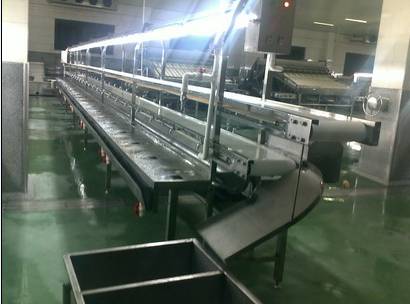 food_processing_equipment_2