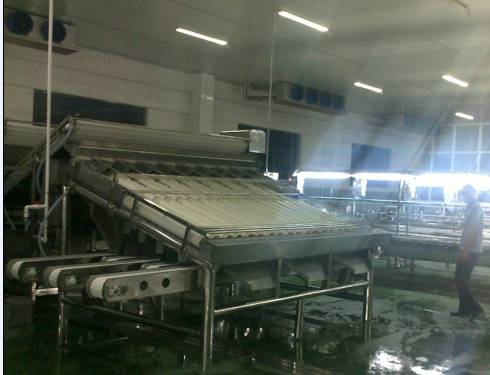 food_processing_equipment_4